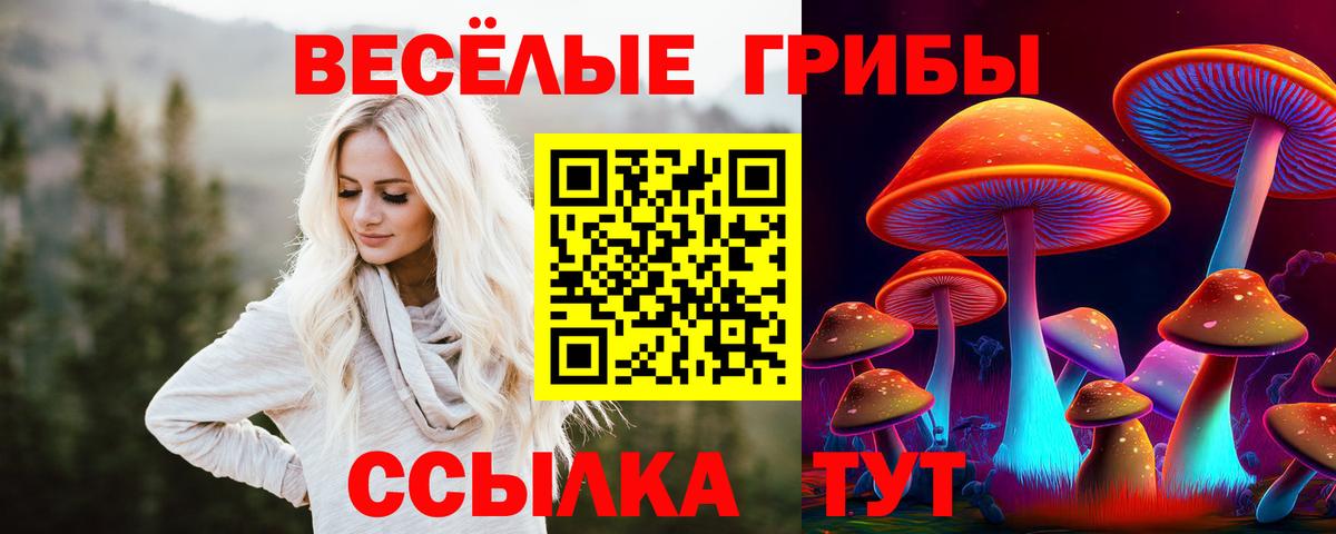 Мичуринск  Псилоцибиновые грибы мухоморы  Вход с VPN 