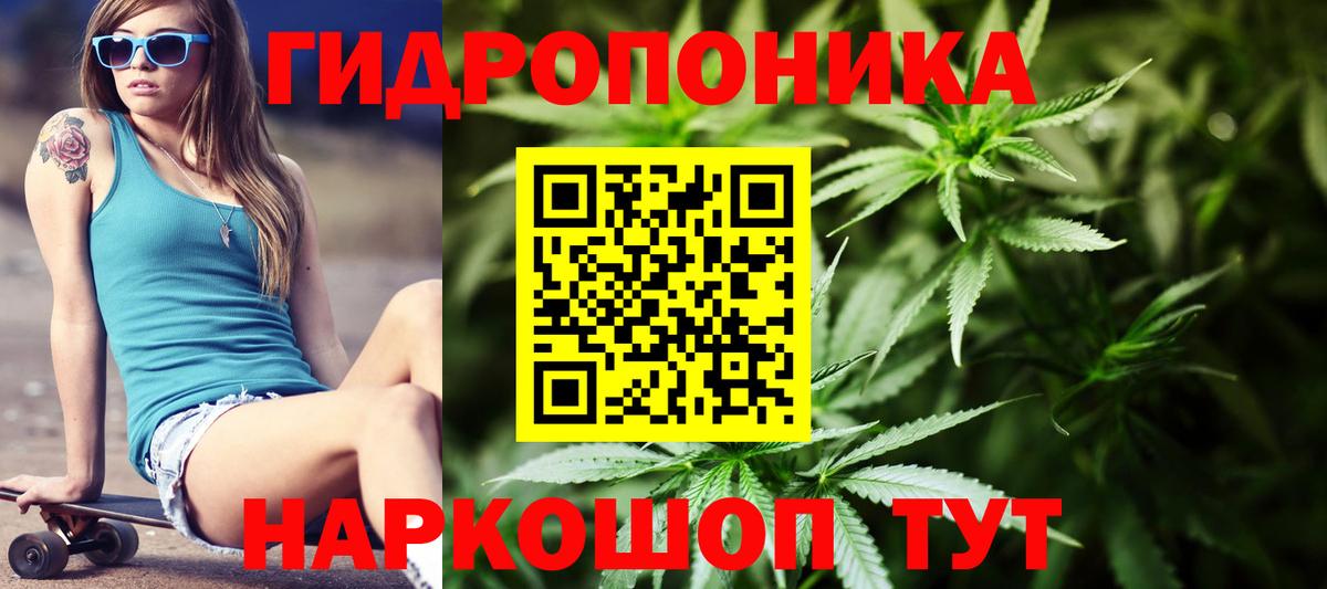 Бошки марихуана марихуана Мичуринск